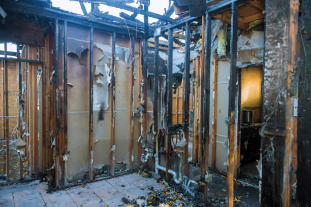 Professional Structural Rebuild technician working in Oak Grove, MN